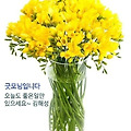 '.' 글에 포함된 이미지