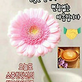 '한주가 마무리 되는 ' 글에 포함된 이미지