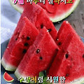 '칠월의 마지막날 마무' 글에 포함된 이미지