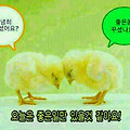 '출석합니다' 글에 포함된 이미지