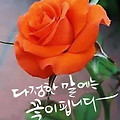 '감사하는 마음을 가진' 글에 포함된 이미지