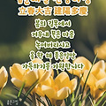 '.' 글에 포함된 이미지