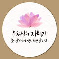 'ㆍ' 글에 포함된 이미지