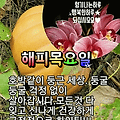 '♡' 글에 포함된 이미지