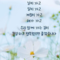 '출석합니다' 글에 포함된 이미지