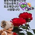 '위기는 산불과 흡사하' 글에 포함된 이미지