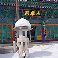 '월요일 새벽에 출석합' 글에 포함된 이미지