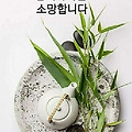 '출석요' 글에 포함된 이미지