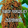 '좋은 일 많은 하루 되' 글에 포함된 이미지