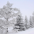 '겨울차거운 날씨 항상' 글에 포함된 이미지