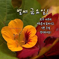 '' 글에 포함된 이미지