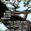 '출석합니다' 글에 포함된 이미지