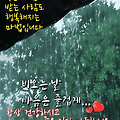 '비 오는 날 김장철 분' 글에 포함된 이미지