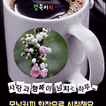 '마치 봄날같이 포근한' 글에 포함된 이미지