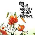 '안녕하세요,올겨울 감' 글에 포함된 이미지