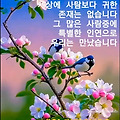 '봄비 얌전히 내리는월' 글에 포함된 이미지