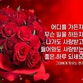 '출석합니다' 글에 포함된 이미지