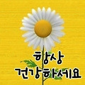 '.' 글에 포함된 이미지