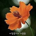 '.' 글에 포함된 이미지
