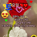 '출석합니다 ^^' 글에 포함된 이미지