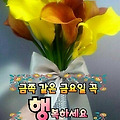 '♡' 글에 포함된 이미지