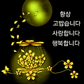 '다냥이 출첵' 글에 포함된 이미지