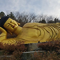'멀리 나와 수행중 입' 글에 포함된 이미지