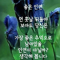 '출석합니다' 글에 포함된 이미지