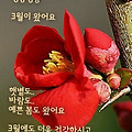 '~' 글에 포함된 이미지