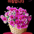 '세월 참빠릅니다벌써 ' 글에 포함된 이미지
