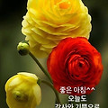 '.' 글에 포함된 이미지