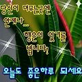 '출석합니다' 글에 포함된 이미지