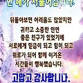 '출석합니다' 글에 포함된 이미지