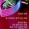 '1월 18일 월요일 벌써' 글에 포함된 이미지