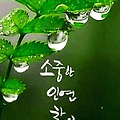 '출석요' 글에 포함된 이미지