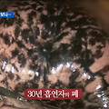 '홍보하여 주십시오!담' 글에 포함된 이미지