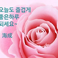 '^' 글에 포함된 이미지