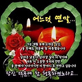 '출석합니다' 글에 포함된 이미지