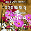 '책임을 지면 신뢰는 ' 글에 포함된 이미지