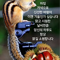 '출석합니다' 글에 포함된 이미지