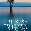 '.' 글에 포함된 이미지