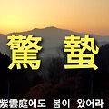 '' 글에 포함된 이미지