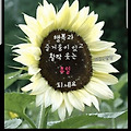 '휴일 남은 시간 기쁘' 글에 포함된 이미지