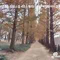 '가을비내리는 토요일 ' 글에 포함된 이미지