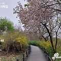 '출석합니다즐거운 주' 글에 포함된 이미지