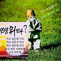 '봄꽃 향기처럼 포근하' 글에 포함된 이미지