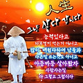 '출석합니다' 글에 포함된 이미지