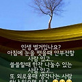 '가는 해를 보내는 아' 글에 포함된 이미지