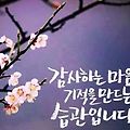 '출석합니다' 글에 포함된 이미지