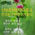'안녕들하세요가족들과' 글에 포함된 이미지